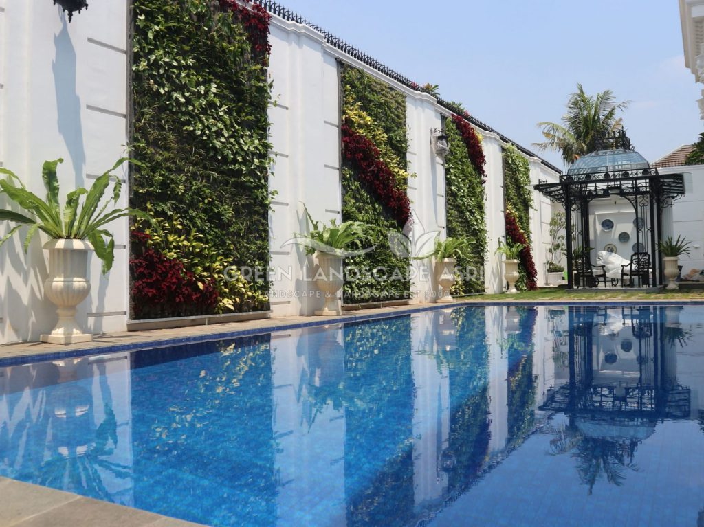 Jasa Vertical Garden Tanaman Asli