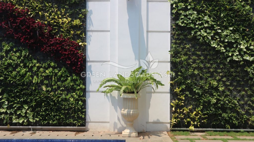 Jasa Vertical Garden Tanaman Asli