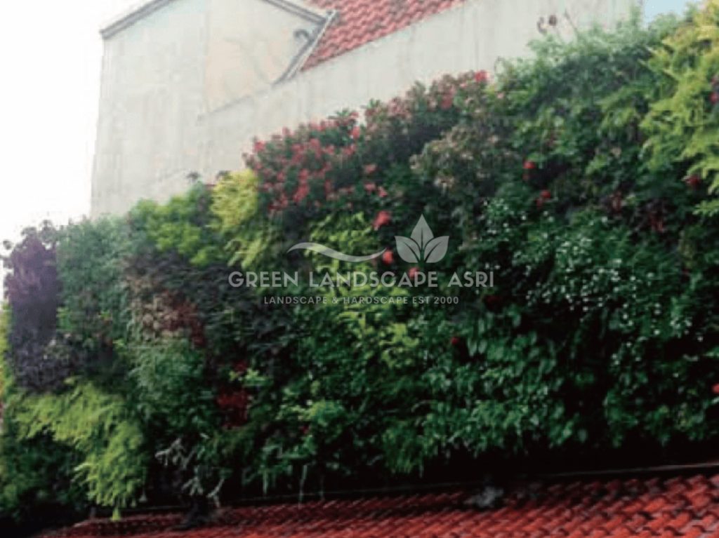 Jasa Vertical Garden Tanaman Asli
