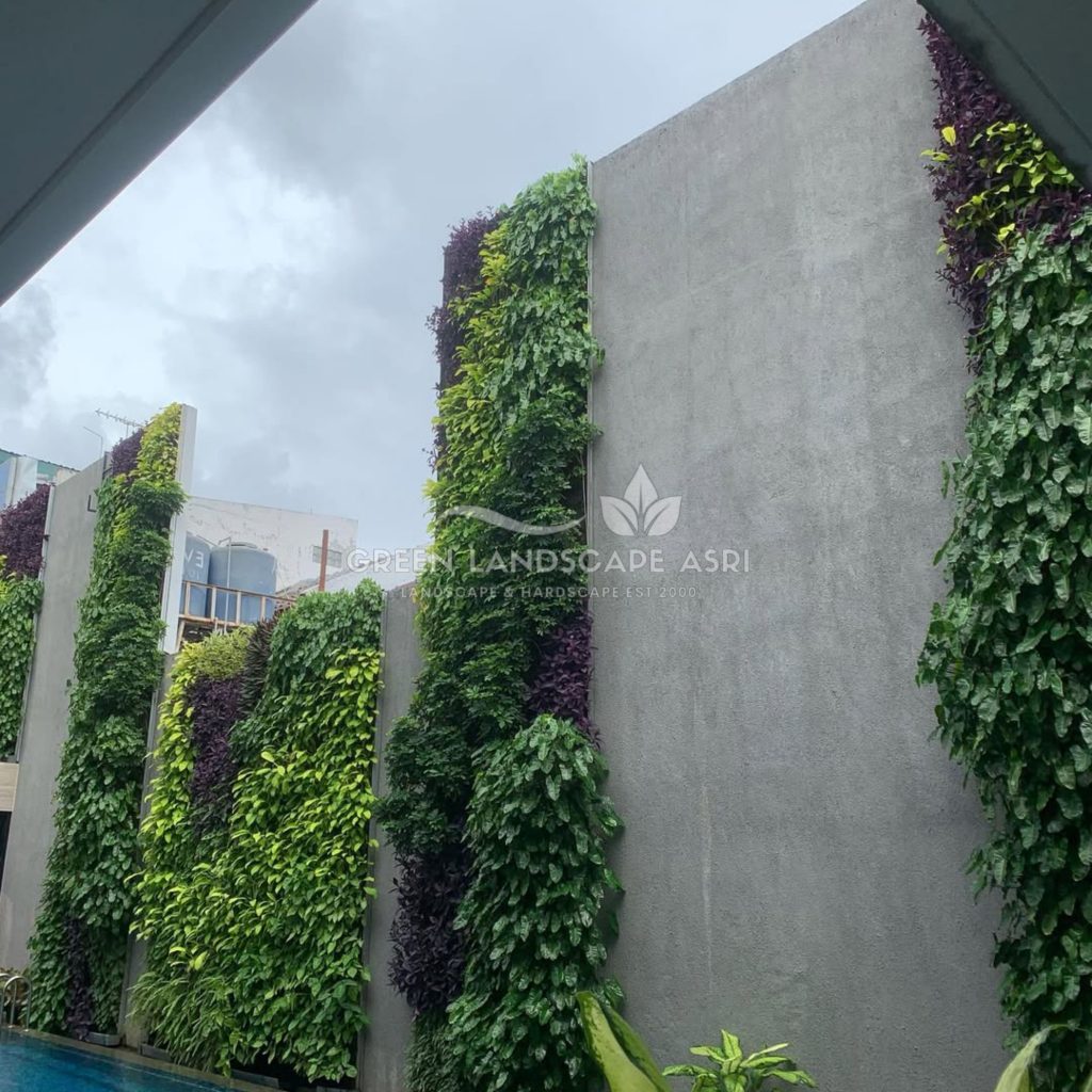 Jasa Pasang Taman Vertikal