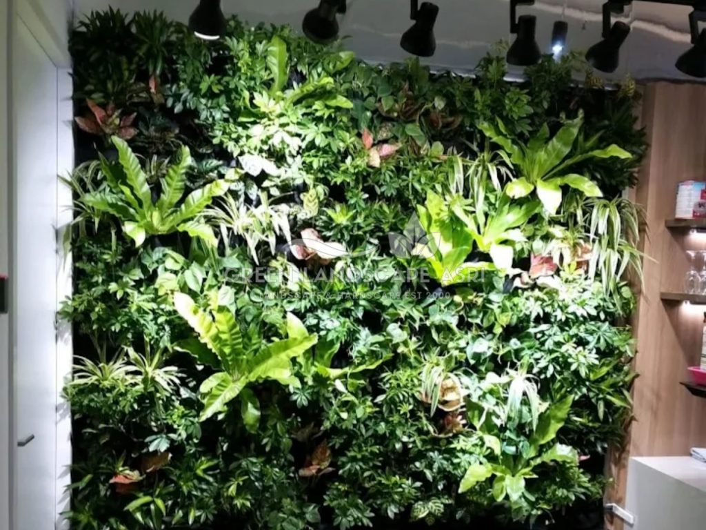 Jasa Vertical Garden Tanaman Asli