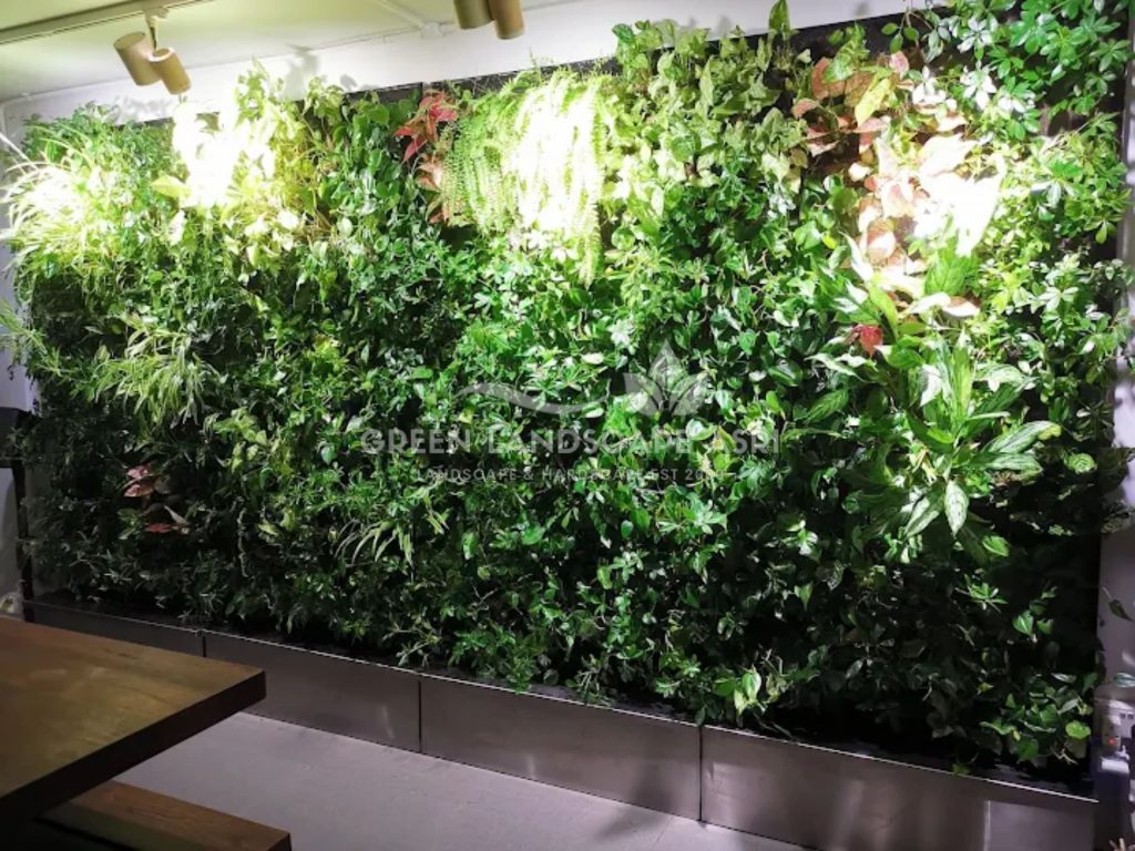Jasa Vertical Garden Tanaman Asli