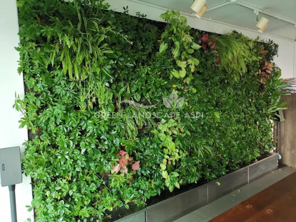 Jasa Vertical Garden Tanaman Asli