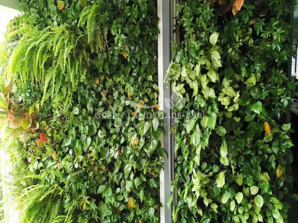 Jasa Vertical Garden Tanaman Asli