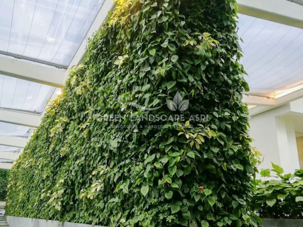 Jasa Vertical Garden Tanaman Asli