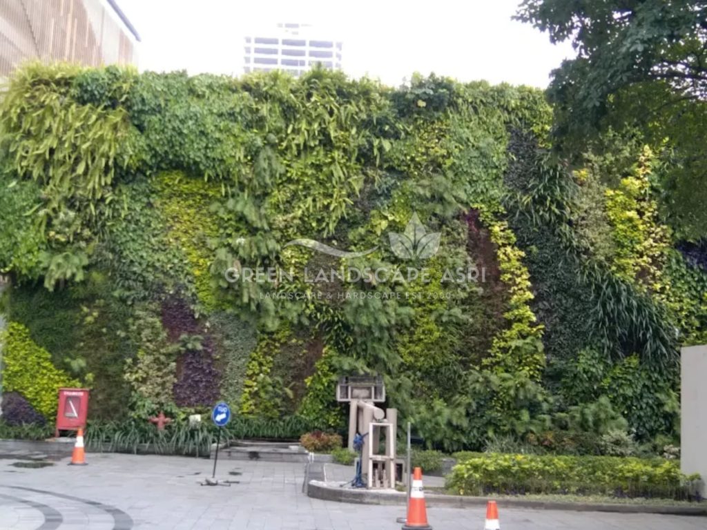 Jasa Vertical Garden Tanaman Asli