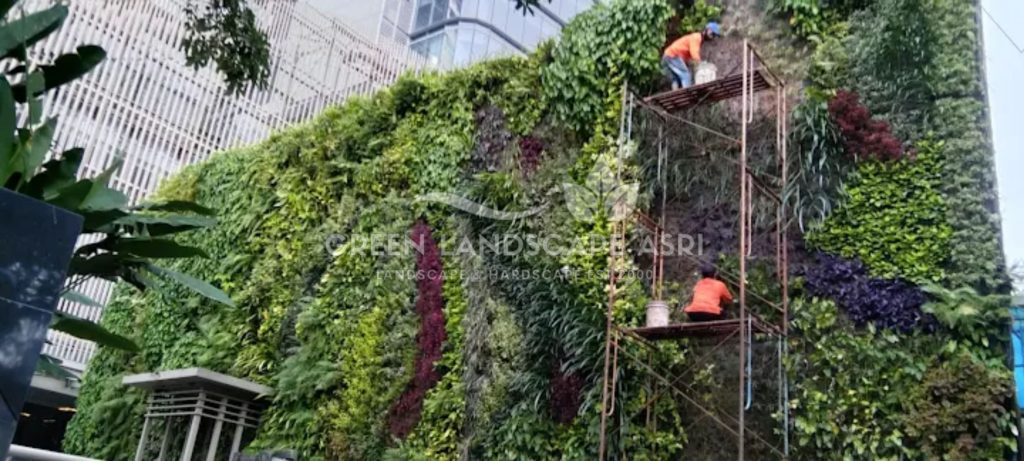 Jasa Vertical Garden Tanaman Asli