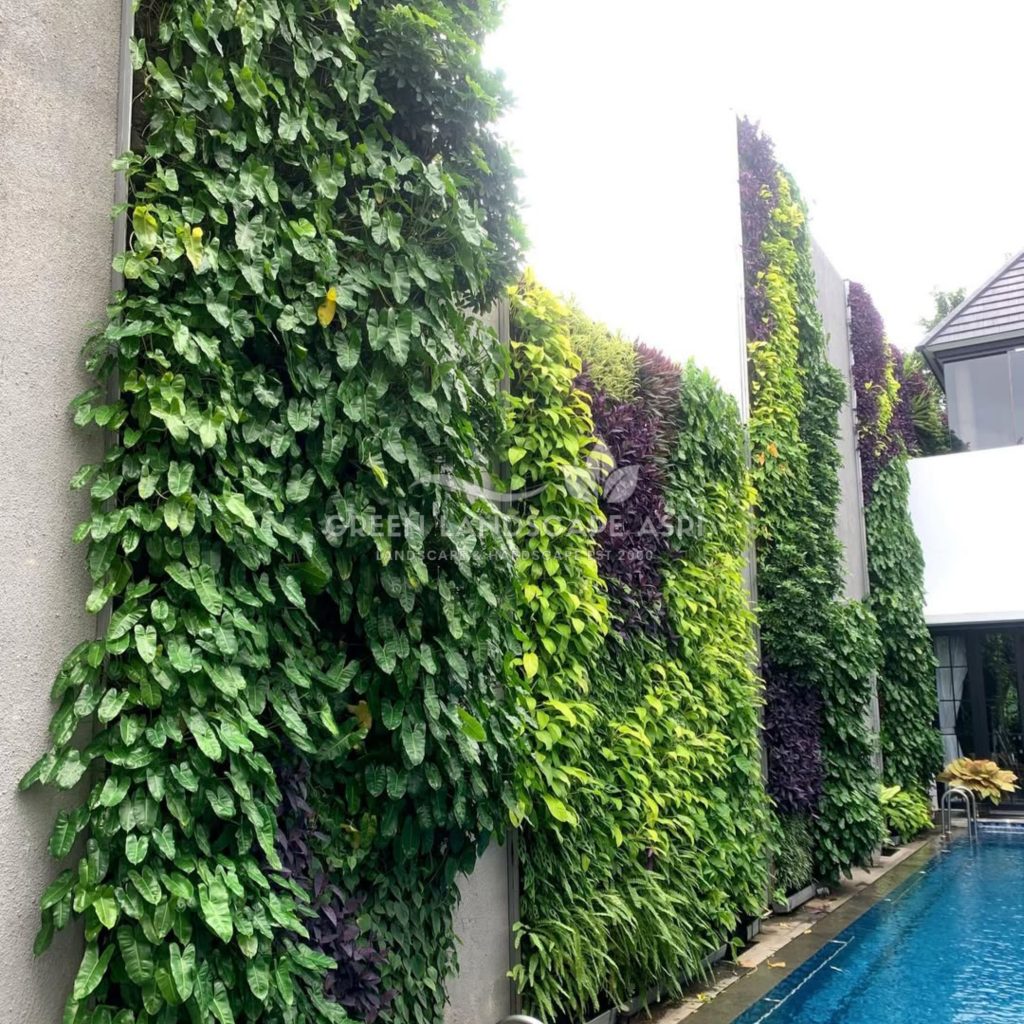 Jasa Pasang Taman Vertikal