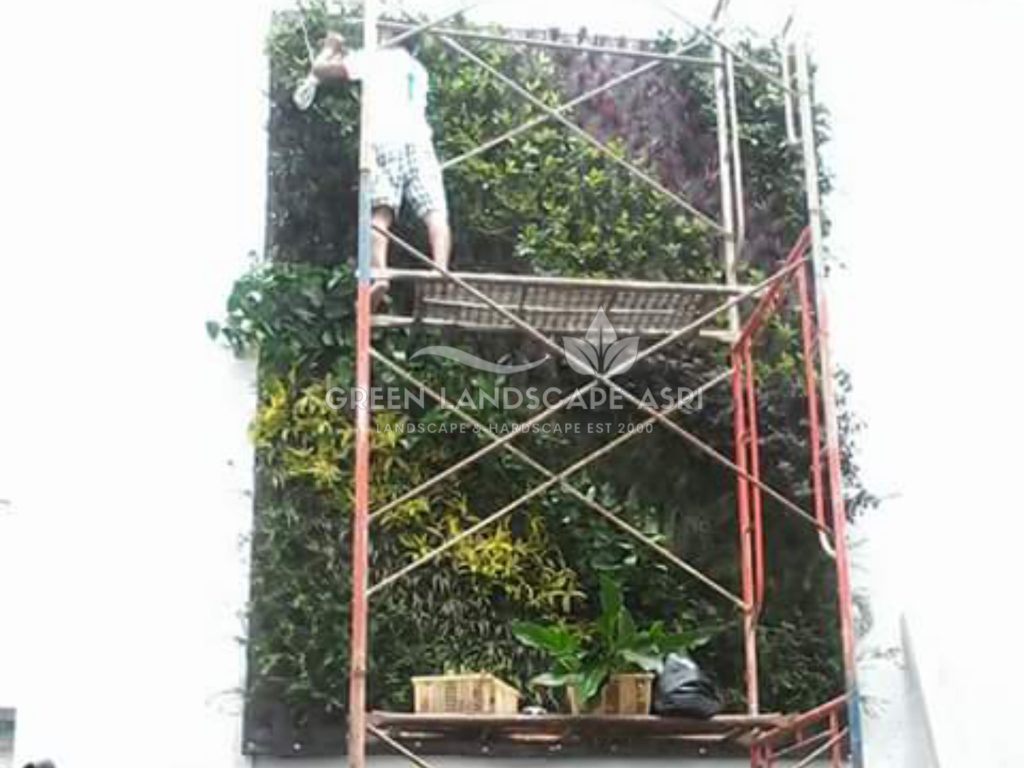 Tukang Taman Vertikal Bergaransi