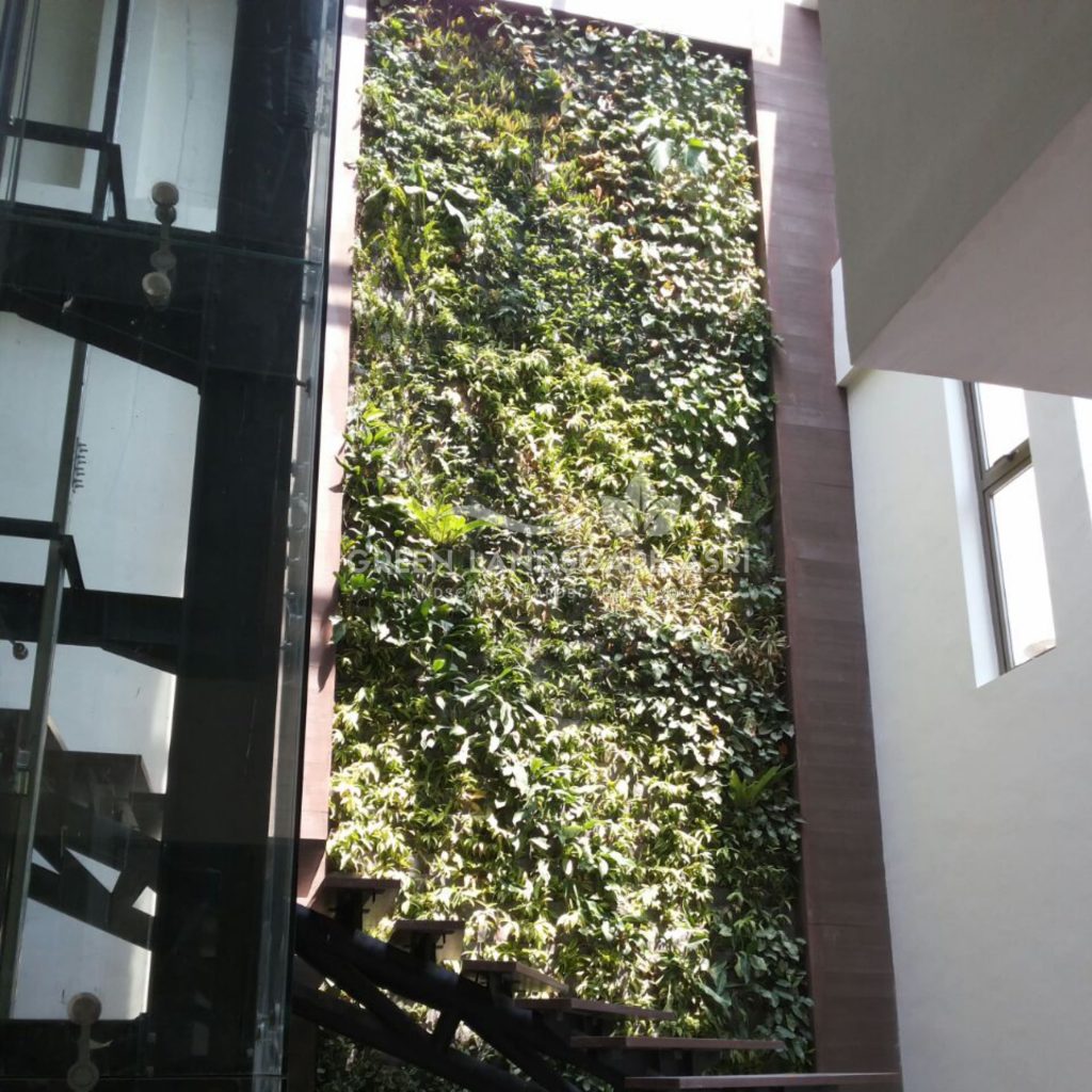 Tukang Taman Vertikal Bergaransi