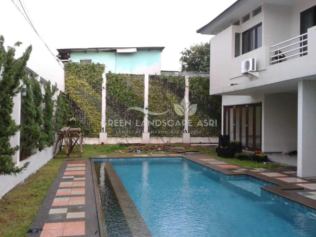 Tukang Taman Vertikal Bergaransi