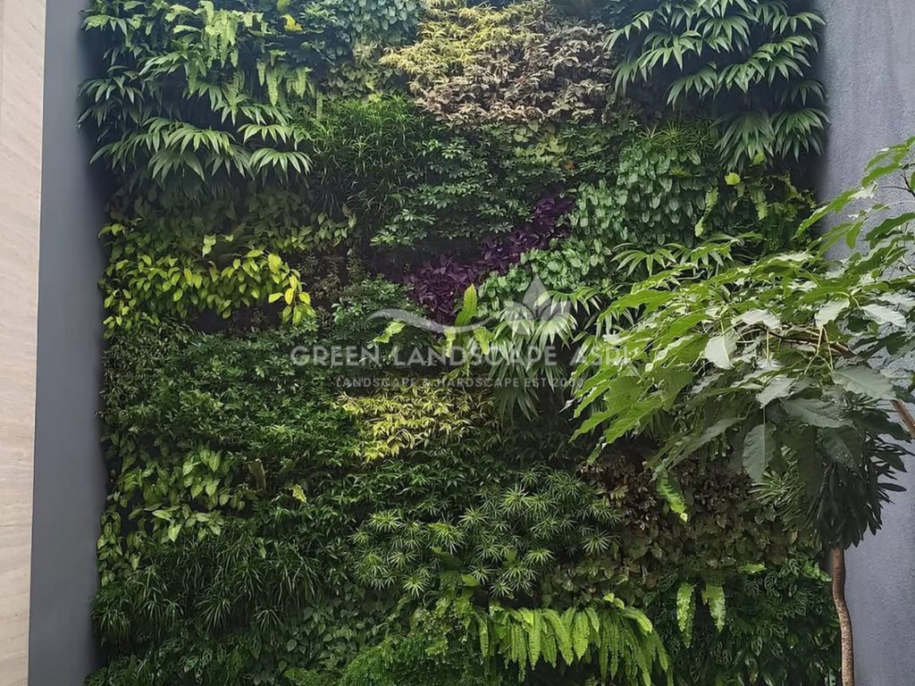Tukang Taman Vertikal Bergaransi