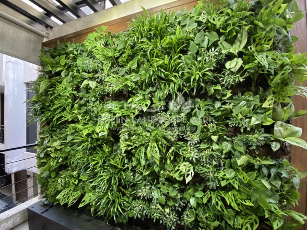 Tukang Taman Vertikal Bergaransi