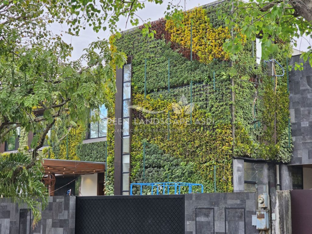 Tukang Taman Vertikal Bergaransi