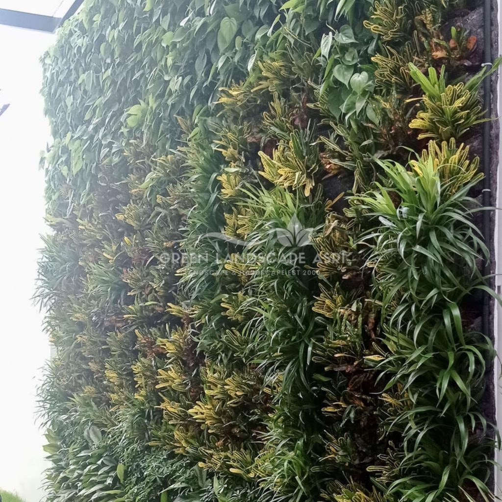 Tukang Taman Vertikal Bergaransi