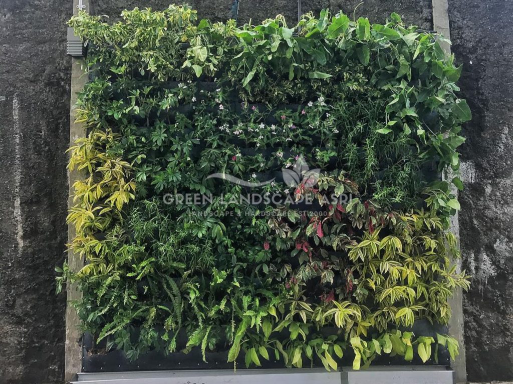 Jasa Pasang Taman Vertikal