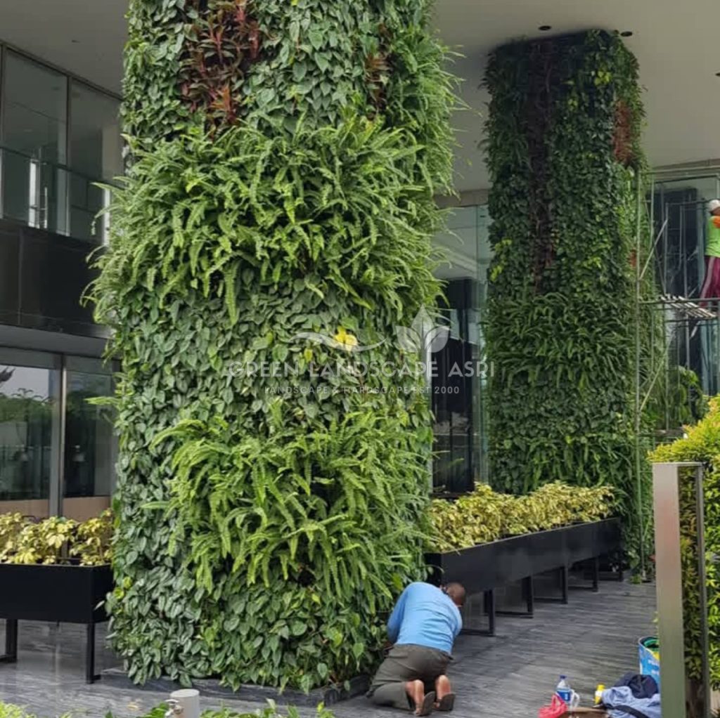 Tukang Taman Vertikal Bergaransi