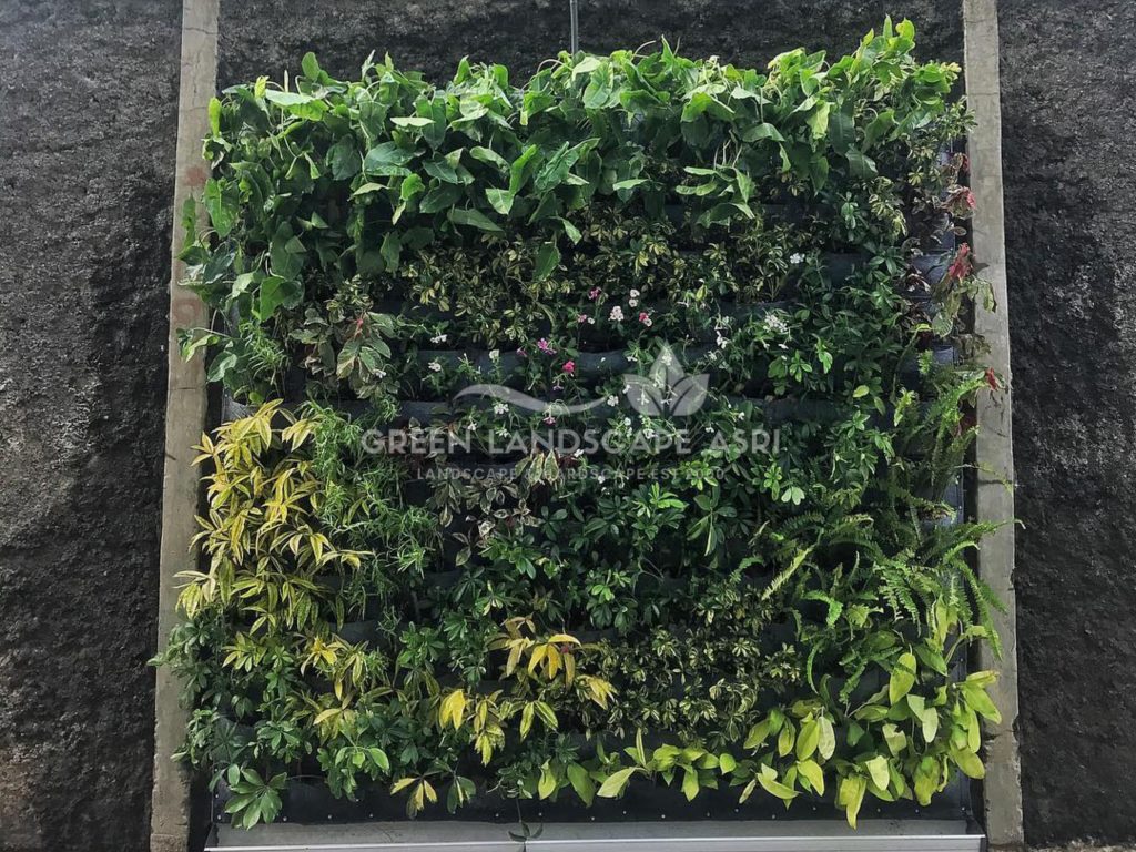 Jasa Pasang Taman Vertikal