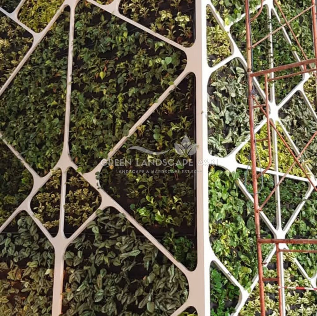 Tukang Taman Vertikal Bergaransi