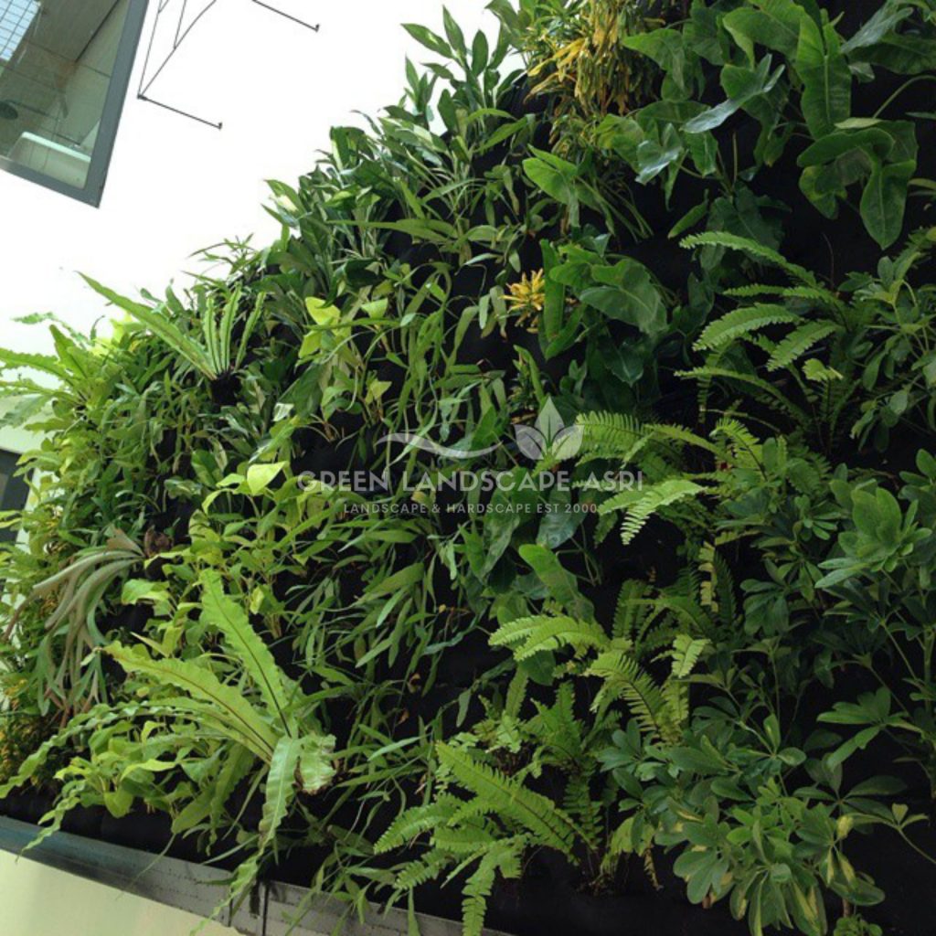 Tukang Taman Vertikal Bergaransi