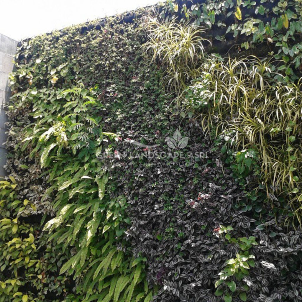 Tukang Taman Vertikal Bergaransi