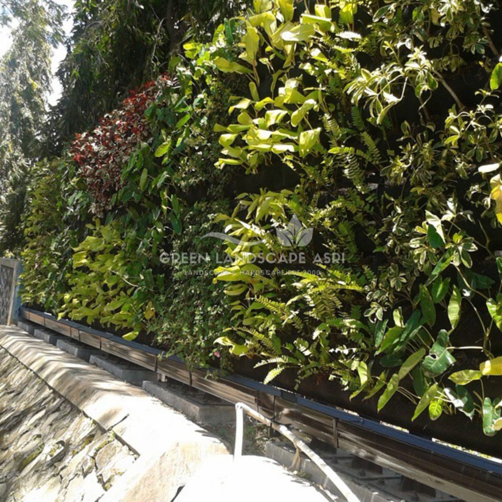 Tukang Taman Vertikal Bergaransi
