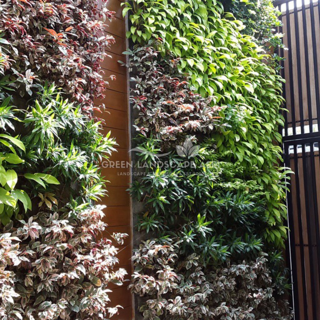 Tukang Taman Vertikal Bergaransi