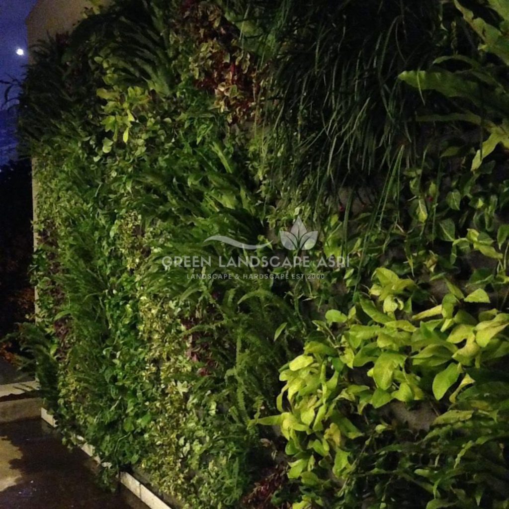 Tukang Taman Vertikal Bergaransi