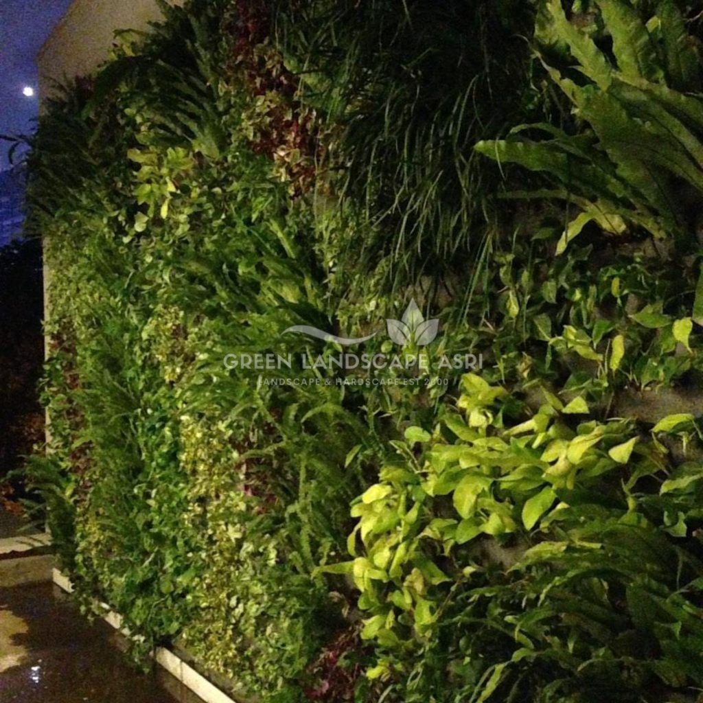 Tukang Taman Vertikal Bergaransi