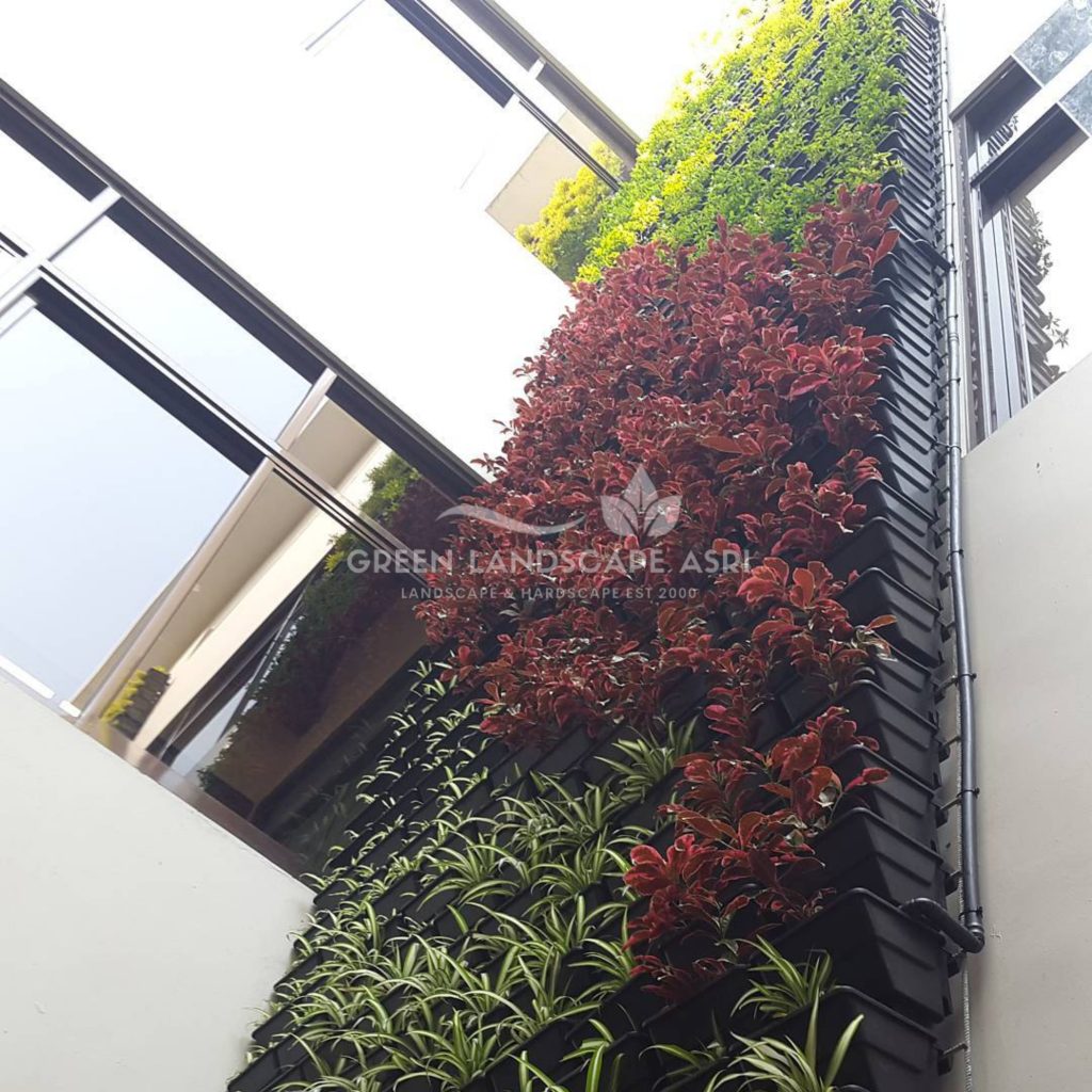 Tukang Taman Vertikal Bergaransi
