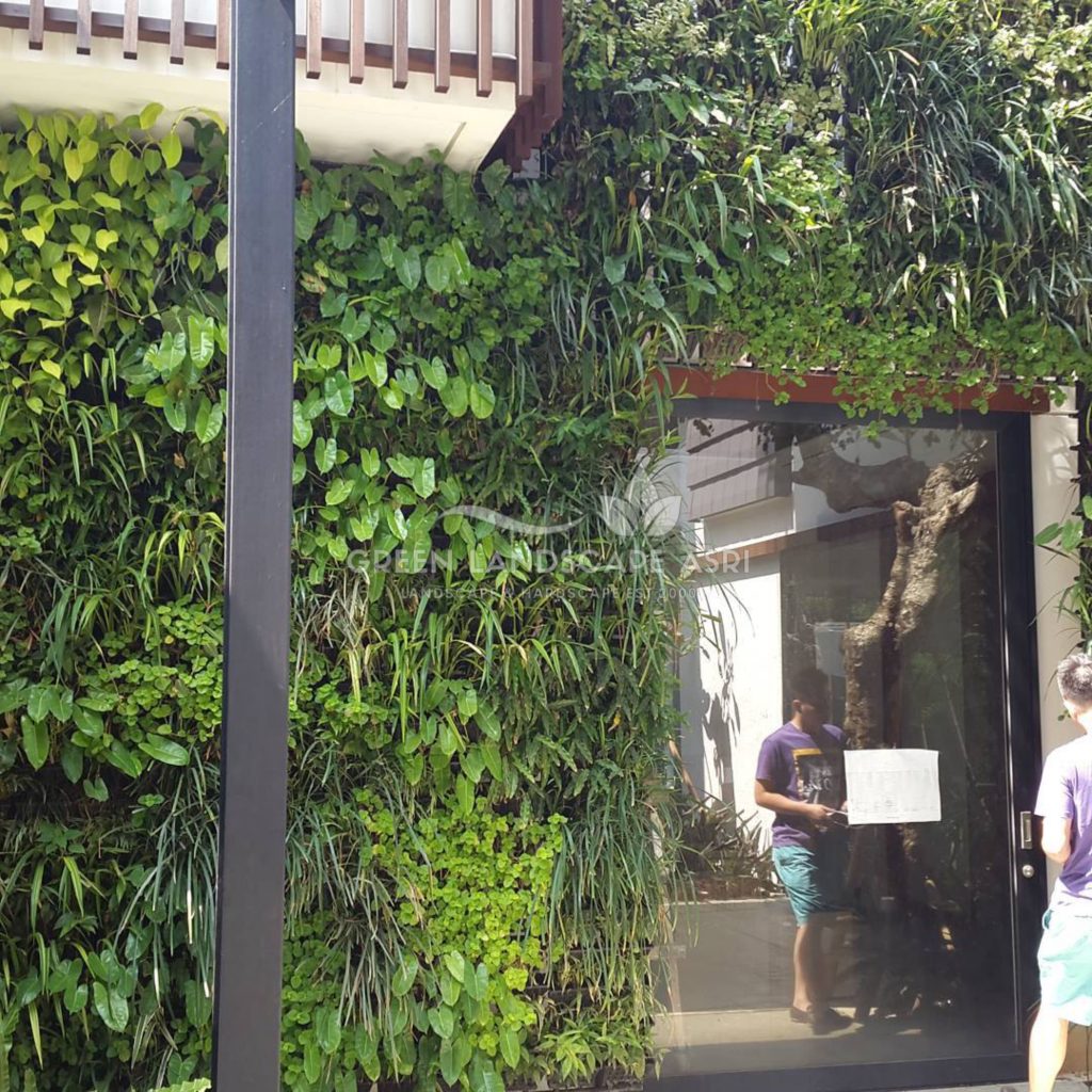 Tukang Taman Vertikal Bergaransi