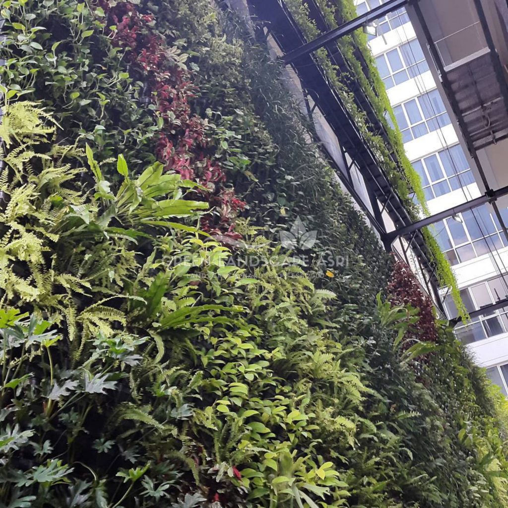 Tukang Taman Vertikal Bergaransi