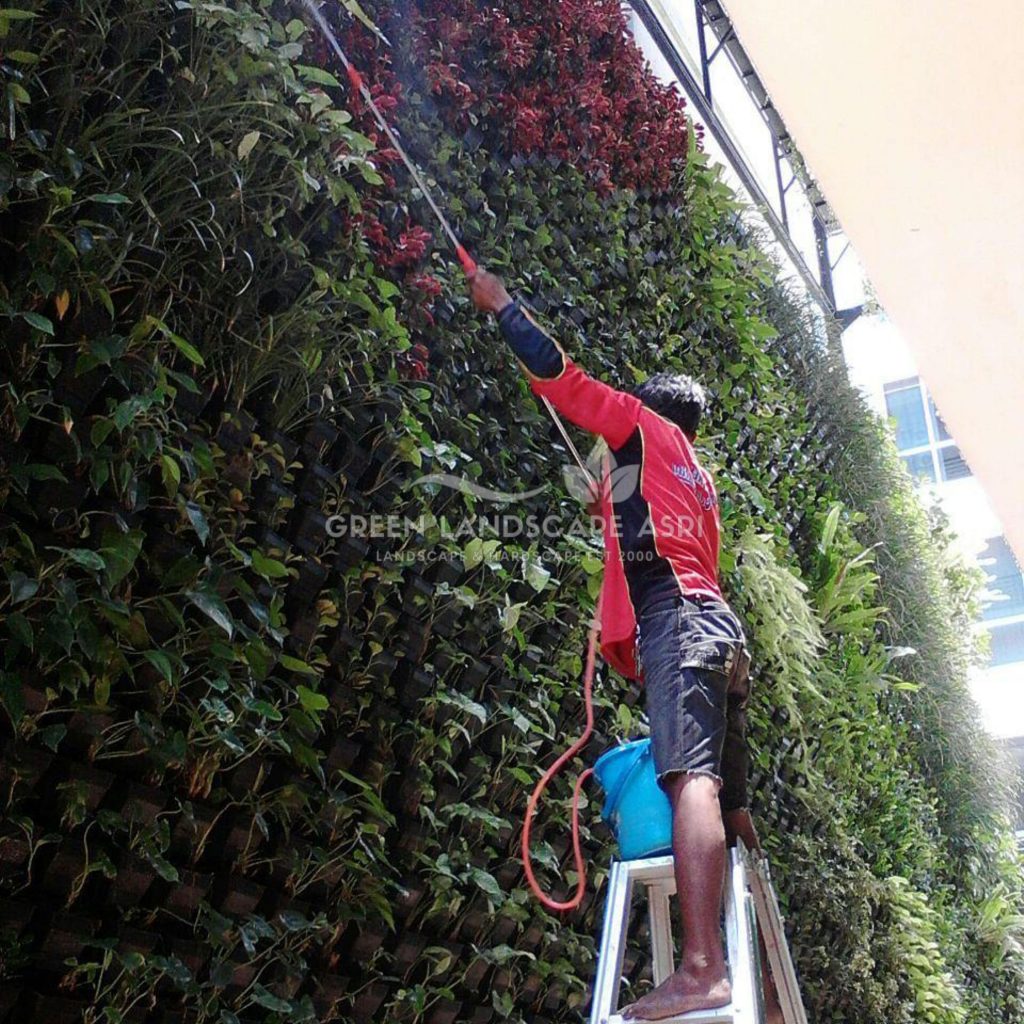 Tukang Taman Vertikal Bergaransi