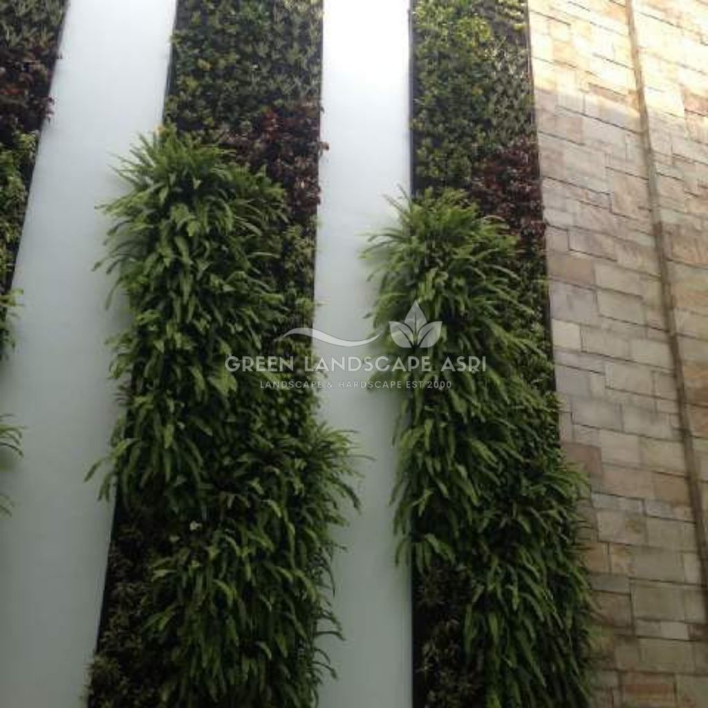 Harga Pasang Taman Vertikal