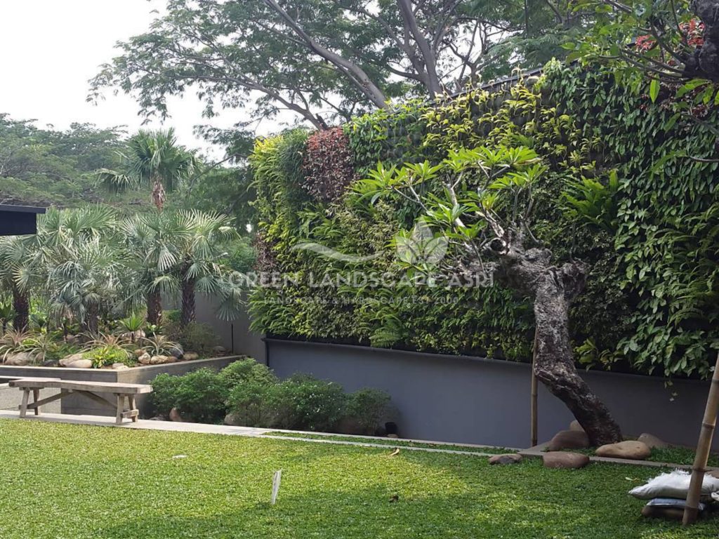 Harga Pasang Taman Vertikal