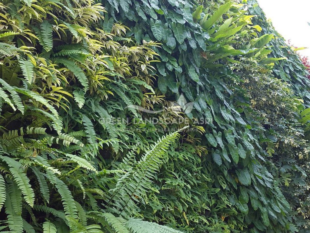 Harga Pasang Taman Vertikal