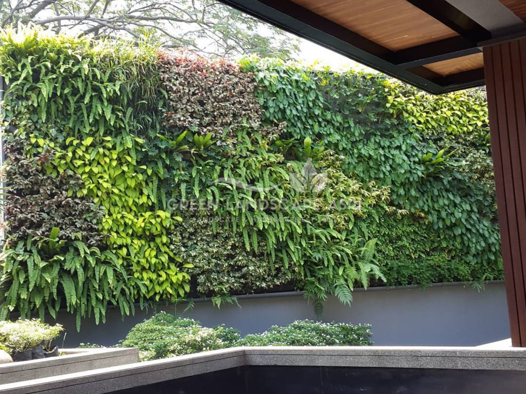 Harga Pasang Taman Vertikal