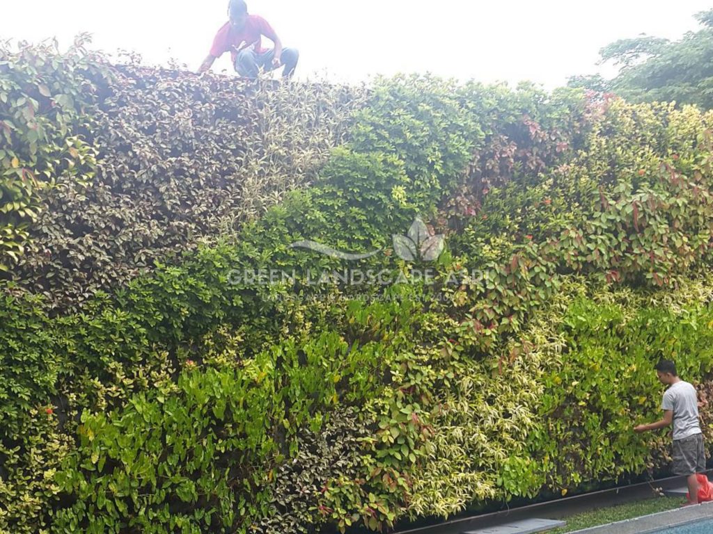 Harga Pasang Taman Vertikal