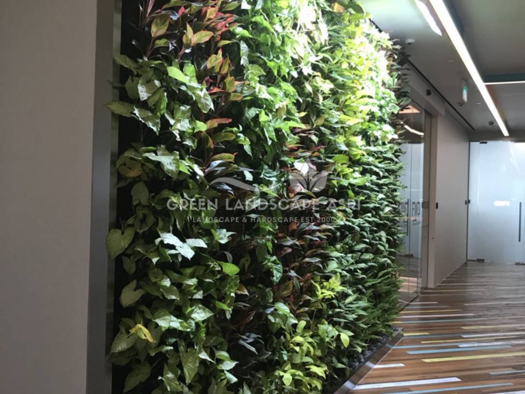 Harga Pasang Taman Vertikal