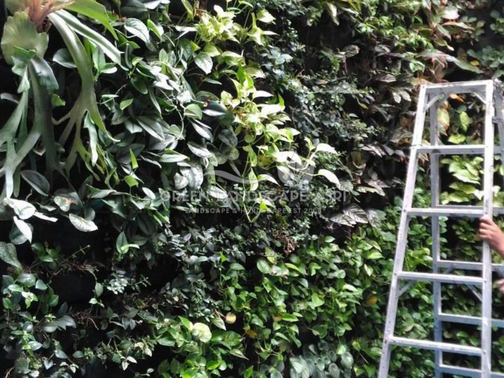 Harga Pasang Taman Vertikal