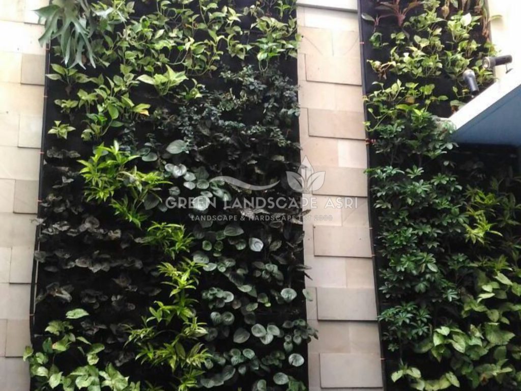 Harga Pasang Taman Vertikal