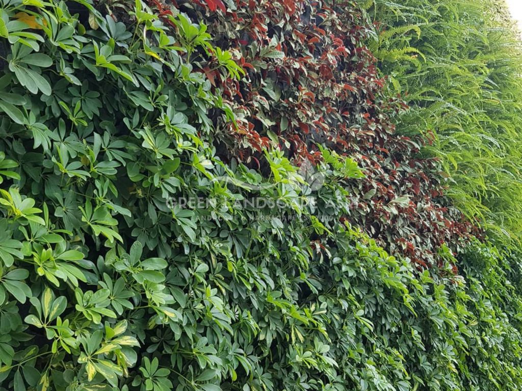 Harga Pasang Taman Vertikal