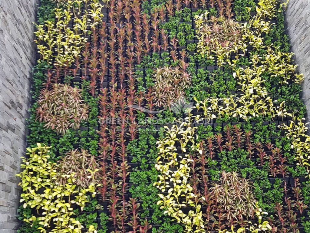 Harga Pasang Taman Vertikal