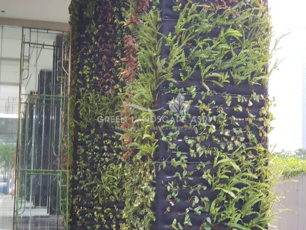 Harga Pasang Taman Vertikal