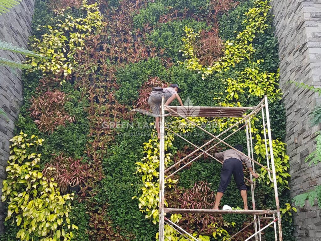 Harga Pasang Taman Vertikal