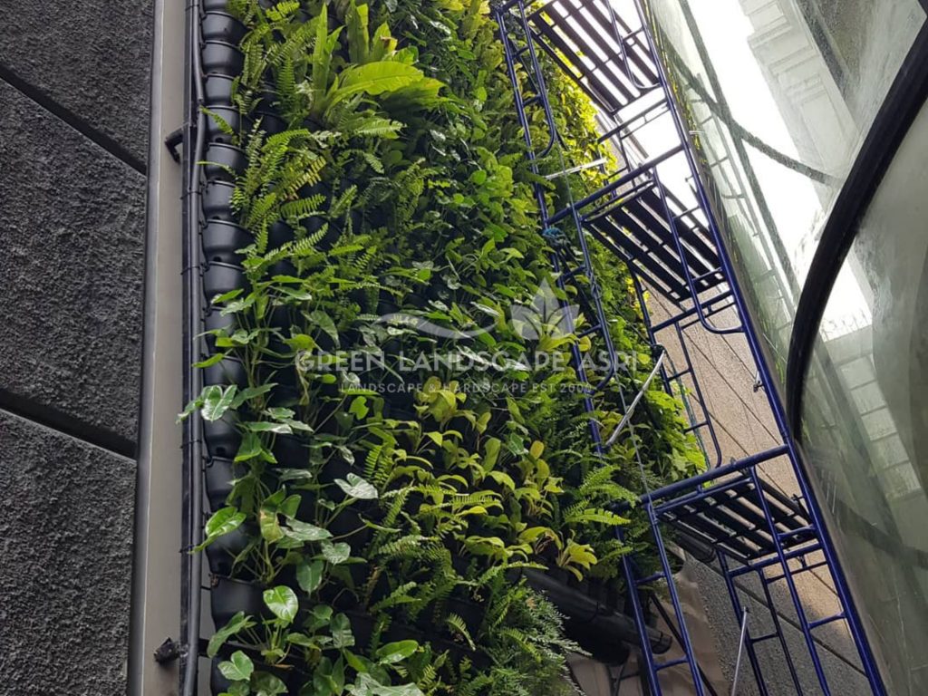 Harga Pasang Taman Vertikal