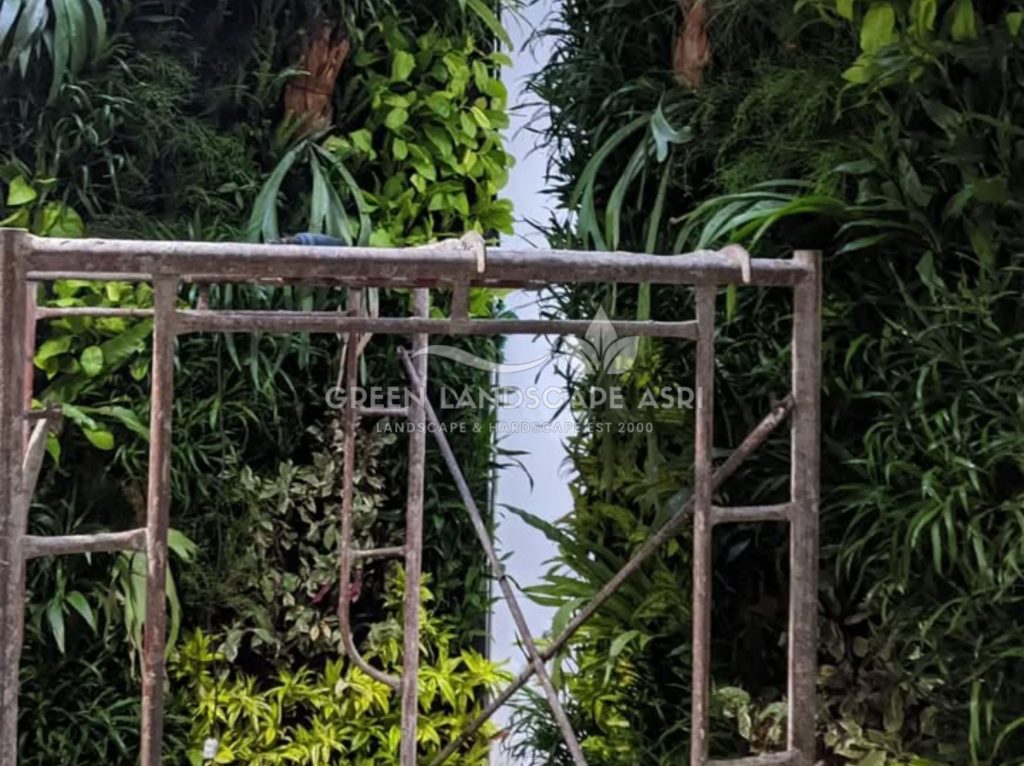 Harga Pasang Taman Vertikal