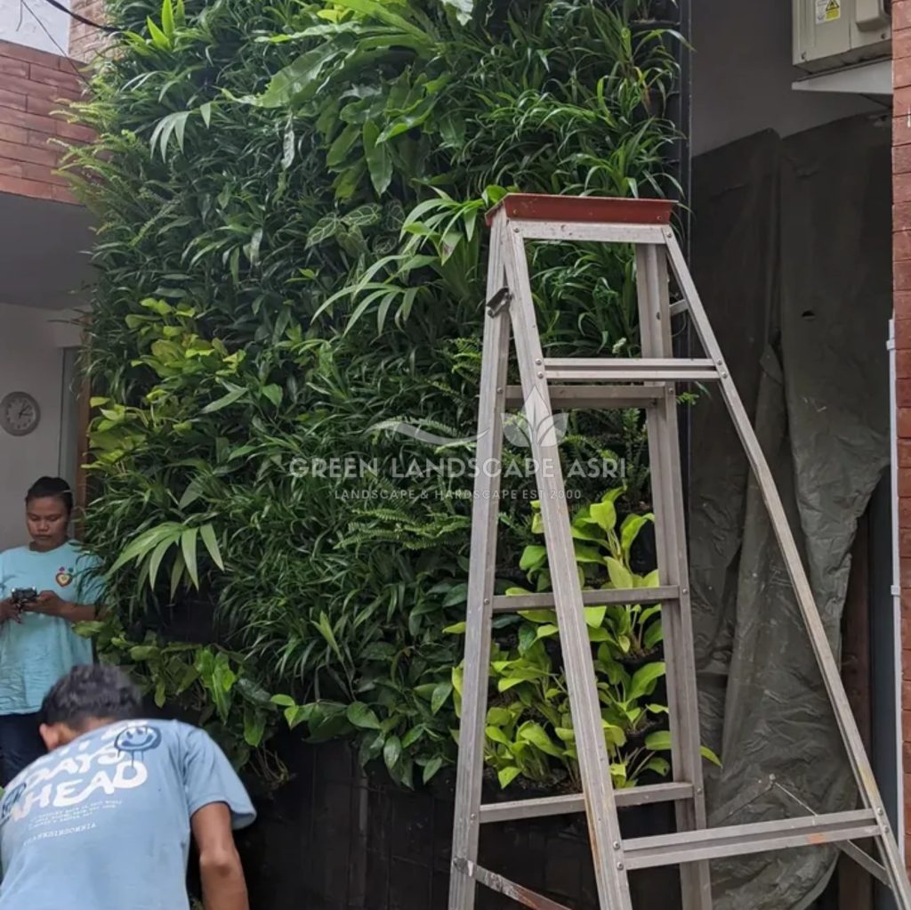 Harga Pasang Taman Vertikal