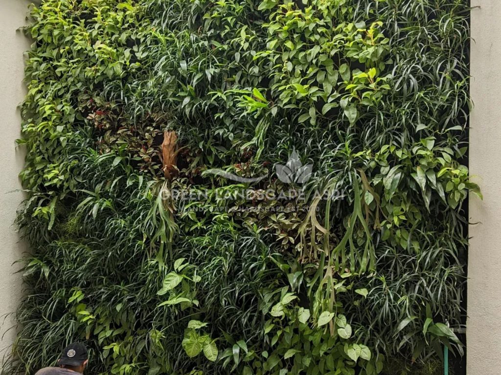 Harga Pasang Taman Vertikal