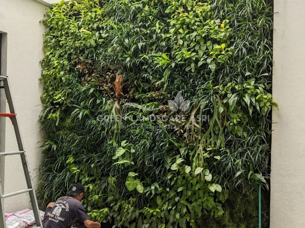 Harga Pasang Taman Vertikal